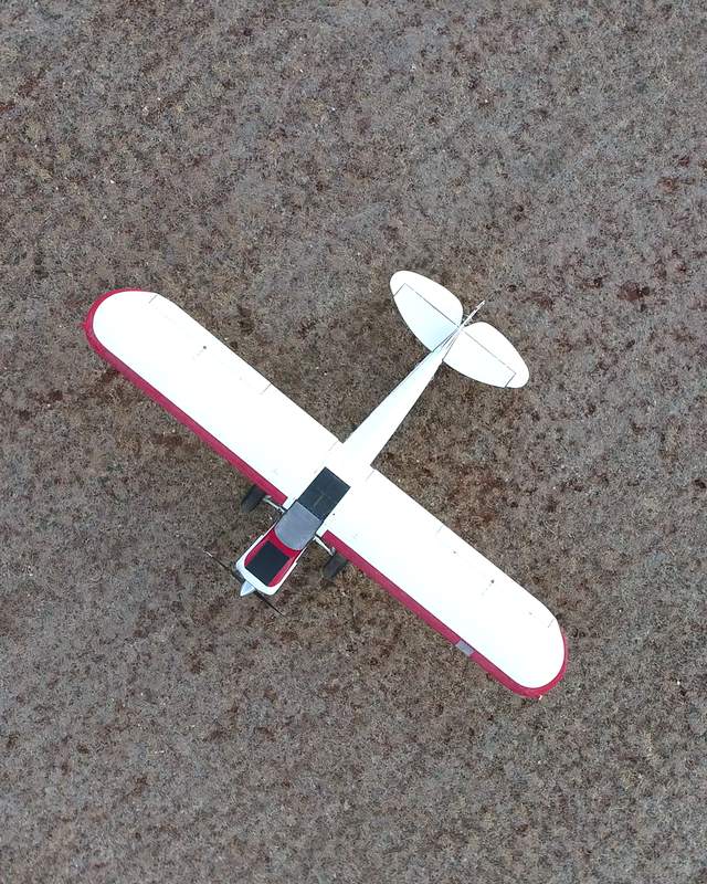 Overhead view of a white and red taildragger on open ground